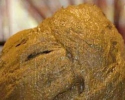真的有纯植物染发吗？