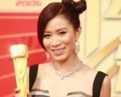 颁奖大典16位女星精彩发型PK