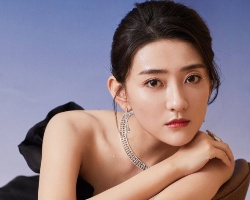 梁洁时尚优雅盘发造型 端庄大气女人味十足