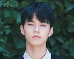 少年感短发发型推荐 清新减龄年轻好几岁