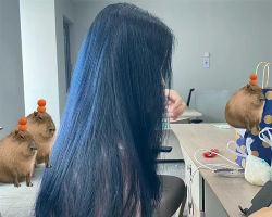 年度染发流行趋势（10） 雾霾蓝低调又迷人